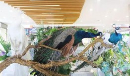 郑州公司吃瓜娱乐公司,揭秘幕后故事与行业风云