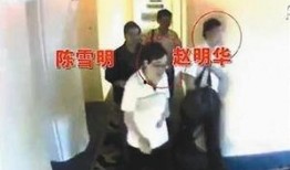 娱乐吃瓜酱温柔的法官,娱乐吃瓜酱背后的故事