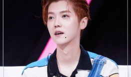 娱乐圈吃瓜鹿晗恋情,娱乐圈新瓜来袭，粉丝热议不已