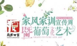 娱乐吃瓜菌中央公益广告,揭秘娱乐圈背后的温馨故事