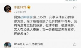 娱乐圈吃瓜全集解说文案,揭秘吃瓜全集背后的精彩故事