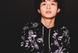 娱乐圈吃瓜段子大全最新,揭秘最新吃瓜段子大全