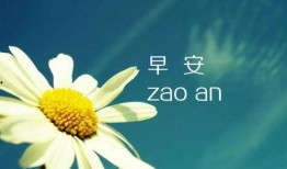 娱乐吃瓜扎心文案短句图片,短句图片背后的故事