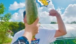 娱乐吃瓜718网红瓜,娱乐吃瓜盛宴，揭秘网红圈幕后故事