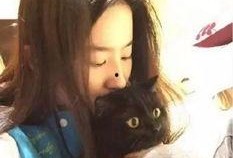 吃瓜娱乐圈刘亦菲微博,娱乐圈幕后故事大揭秘