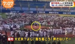 2024年娱乐圈吃瓜,年度吃瓜大事件盘点