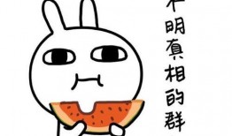 娱乐吃瓜合成一个词怎么说,一词合成，揭秘娱乐圈幕后故事