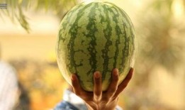 娱乐圈可以吃瓜