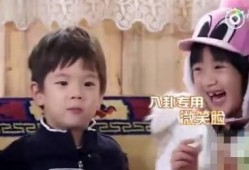 吃瓜娱乐圈八卦400页,吃瓜群众必看八卦盛宴