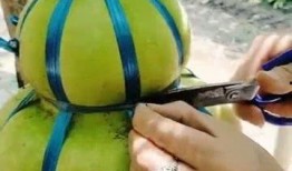 无拘无束的娱乐吃瓜,无拘无束的吃瓜盛宴