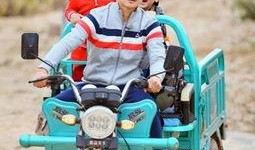 吃瓜娱乐交通规则