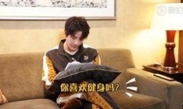 吃瓜娱乐采访,吃瓜采访背后的明星故事与幕后真相