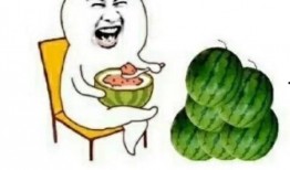 搞笑娱乐圈吃瓜,吃瓜群众笑翻天