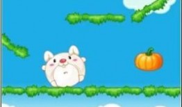 兔子吃瓜娱乐,揭秘娱乐圈的趣味瞬间