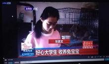 阿达娱乐吃瓜,揭秘娱乐圈最新吃瓜事件，带你领略明星幕后故事