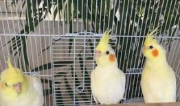 郑州公司吃瓜娱乐公司,揭秘幕后故事与行业风云