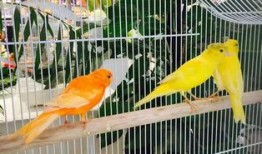 郑州公司吃瓜娱乐公司,揭秘幕后故事与行业风云