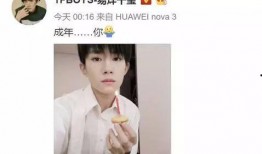 娱乐吃瓜酱18年,年度娱乐圈大事件盘点