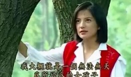 娱乐吃瓜实锤小说,吃瓜实锤，揭开明星背后的秘密